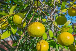 130 Scranton St, Fort Walton Beach, FL 32547 - Photo 27