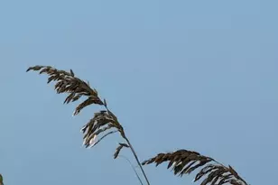 10691 SE Jupiter Narrows Dr, Hobe Sound, FL 33455 - Photo 51