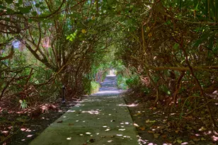 1320 Coral Park Ln Ln, Vero Beach, FL 32963 - Photo 39