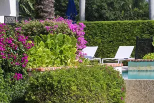 2312 Appaloosa Trail, Wellington, FL 33414 - Photo 19