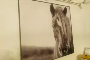 3290 SW Island Way, Palm City, FL 34990 - Photo 37