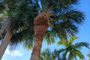 205 N 18th Ave N, Lake Worth Beach, FL 33460 - Photo 57