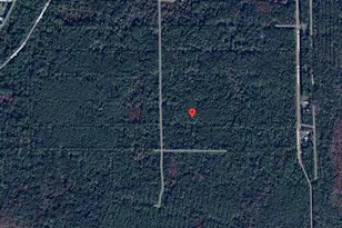 208 Garrison Ave, Georgetown, FL 32139 - Photo 1