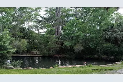 208 Garrison Avenue, Georgetown, FL 32139 - Photo 3