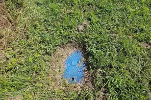 1087 Dusty Ln, Moore Haven, FL 33471 - Photo 15