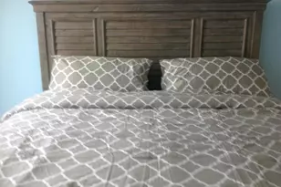 3221 S Ocean Blvd, Highland Beach, FL 33487 - Photo 15