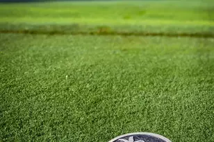 7982 SE Hempstead Cir, Hobe Sound, FL 33455 - Photo 47