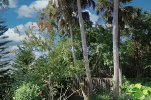 2142 SW Jaguar Ave, Port Saint Lucie, FL 34953 - Photo 27
