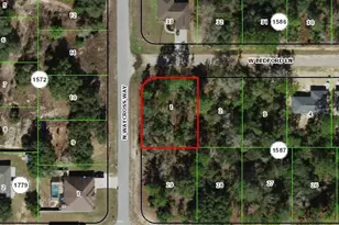 3154 W Bedford Ln, Citrus Springs, FL 34434 - Photo 1