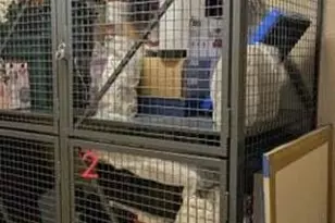 1200 Scotia Dr, Hypoluxo, FL 33462 - Photo 27