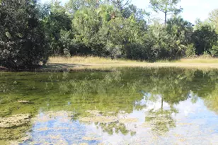 14550 99th St, Fellsmere, FL 32948 - Photo 93