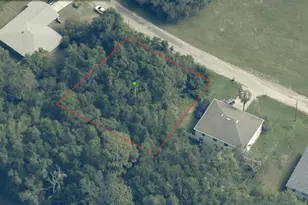 8798 N Salina Dr, Citrus Springs, FL 34434 - Photo 1