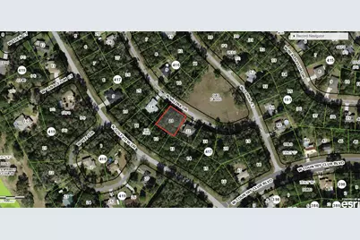 8798 N Salina Drive, Citrus Springs, FL 34434 - Photo 3