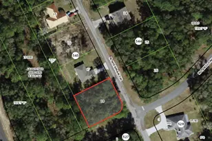 9524 N Sherman Dr, Citrus Springs, FL 34434 - Photo 1