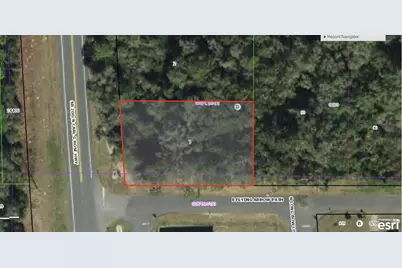 4955 N Carl G Rose Highway, Hernando, FL 34442 - Photo 3