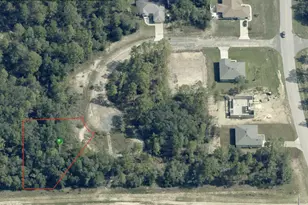 2770 W Tracy Ct, Citrus Springs, FL 34433 - Photo 1