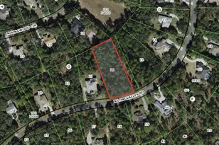 3922 N Longvalley Rd, Hernando, FL 34442 - Photo 1