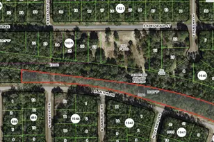 0 E Anton Dr, Citrus Springs, FL 34434 - Photo 1