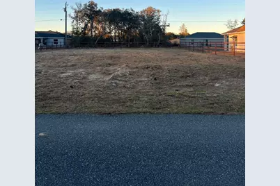 4017 SW 133rd Loop, Ocala, FL 34473 - Photo 5