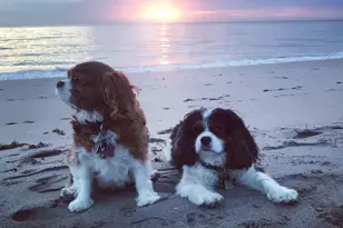 3421 S Ocean Blvd, Highland Beach, FL 33487 - Photo 39