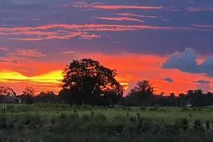 2758 NW 80th Ave, Sunrise, FL 33322 - Photo 23