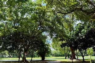 2202 S Cypress Bend Dr, Pompano Beach, FL 33069 - Photo 35