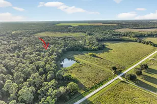 4502 SW Wild Turkey Ln, Okeechobee, FL 34974 - Photo 27
