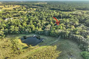 4502 SW Wild Turkey Ln, Okeechobee, FL 34974 - Photo 29