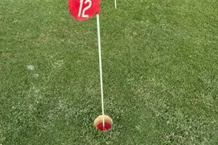 340 Horizons W, Boynton Beach, FL 33435 - Photo 15