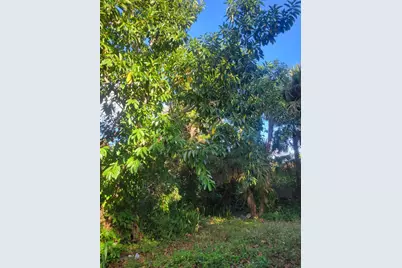 1817 Palm Boulevard, Melbourne, FL 32901 - Photo 27