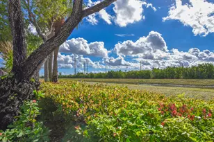 7012 Trentino Way, Boynton Beach, FL 33472 - Photo 23