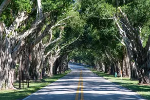 9025 SE Bridge Rd, Hobe Sound, FL 33455 - Photo 7