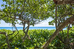 954 Marlin Dr, Jupiter, FL 33458 - Photo 47