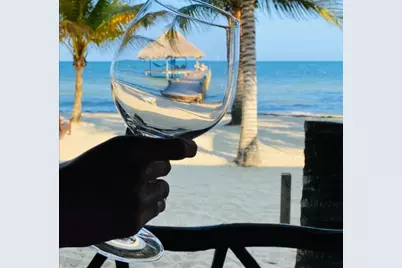 0 Placencia Road, Almont, CO  - Photo 1