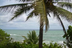 17061 Emile St, Boca Raton, FL 33487 - Photo 29