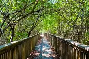 530 N 7th Pl, Vero Beach, FL 32962 - Photo 29