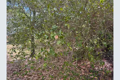 3358 S Jog Road, Greenacres, FL 33467 - Photo 13