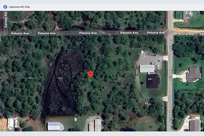 2013 Petunia Avenue, Sebring, FL 33875 - Photo 1