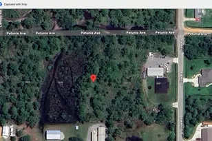 2013 Petunia Ave, Sebring, FL 33875 - Photo 1