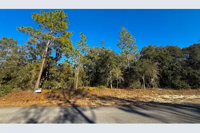Tbd Lot 35 SW Lobelia Court, Dunnellon, FL 34431 - Photo 9