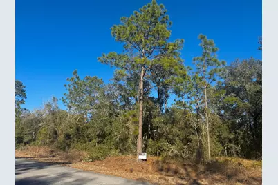 Tbd Lot 35 SW Lobelia Court, Dunnellon, FL 34431 - Photo 7
