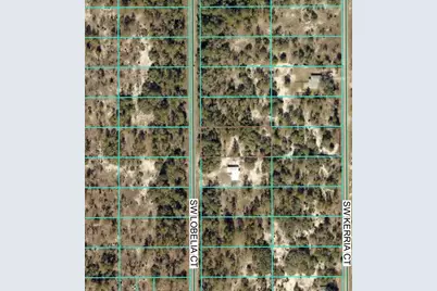 Tbd Lot 35 SW Lobelia Court, Dunnellon, FL 34431 - Photo 3