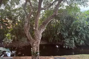 1605 S US Hwy 1, Jupiter, FL 33477 - Photo 23