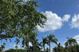 8895 N Bates Rd, Palm Beach Gardens, FL 33418 - Photo 27