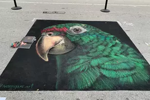 404 S M St, Lake Worth Beach, FL 33460 - Photo 63