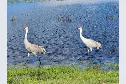 Tbd Southwind Trail, Fort Pierce, FL 34951 - Photo 21
