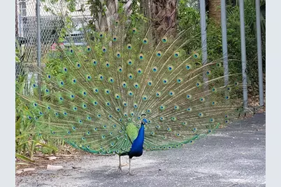 Tbd Southwind Trail, Fort Pierce, FL 34951 - Photo 23