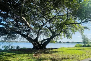 2102 Lake Osborne Dr, Lake Worth Beach, FL 33461 - Photo 25