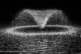 2107 Wightman Dr, Wellington, FL 33414 - Photo 29