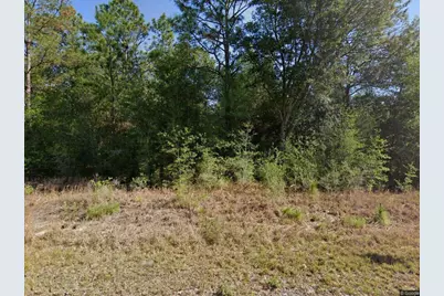 20313 SW Audubon Avenue, Dunnellon, FL 34431 - Photo 1